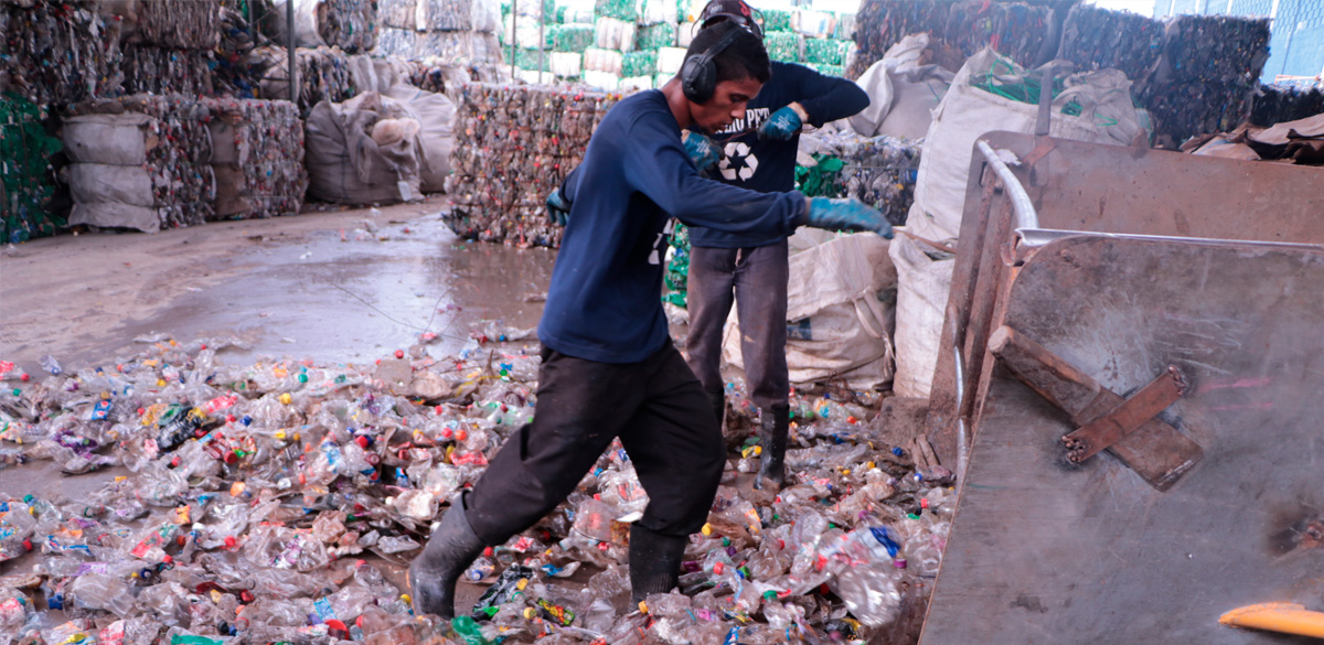 catadores autônomos