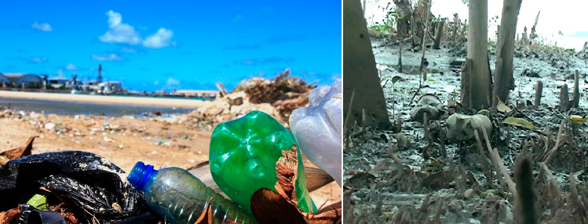 ALERTA: MEIO AMBIENTE AINDA É DESTINO DE PELO MENOS METADE DO PET DESCARTADO