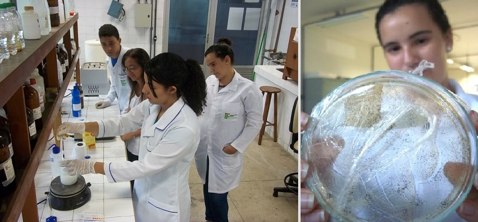 Pesquisadores alagoanos desenvolvem plástico ecológico