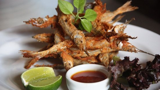 Imagem Amo agulhinhas