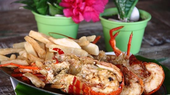 Imagem Rosa de Japaratinga