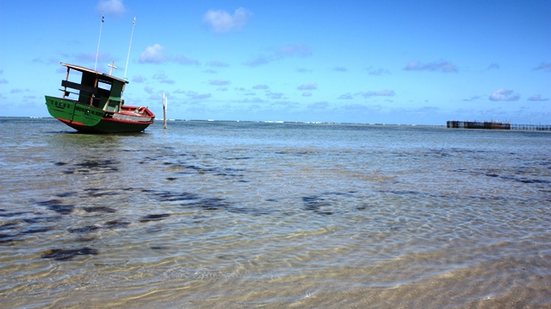 Praia alagoana é eleita uma das 100 mais icônicas do mundo\u003B saiba qual