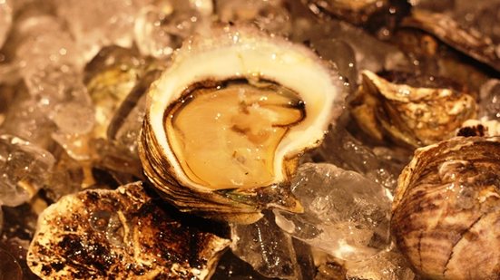 Imagem Ostras alagoanas, manjar do mangue