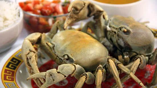 Imagem No caminho dos caranguejos