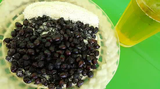 Imagem Tanajura com farinha, isso é bom…