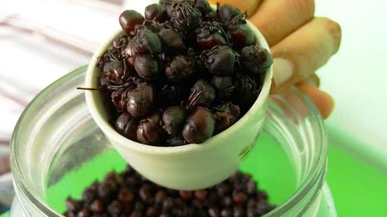 Imagem Tanajura ganhou asas no blog