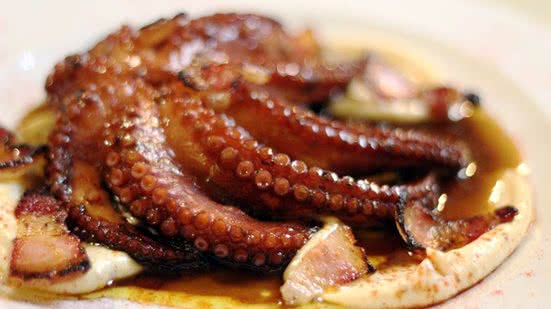 Imagem Polvo, bem amado