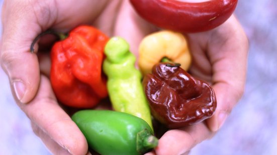 Imagem Pimenta, alegria do Paladar