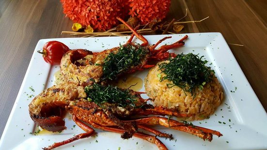 Imagem Festival  do mar da Thaísa