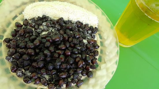 Imagem Choveu, tem tanajura no prato