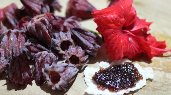 Imagem Plantas curam e alimentam