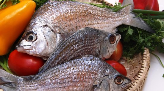 Imagem Carapeba em nome da paz