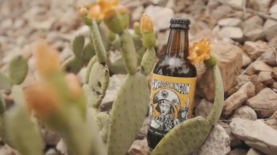 Imagem Cerveja solidária