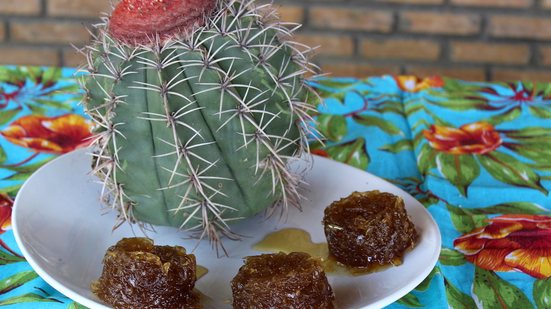 Imagem Caatinga no debate e na cozinha