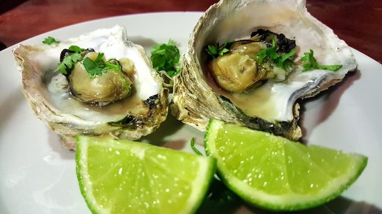 Imagem O caminho das Ostras