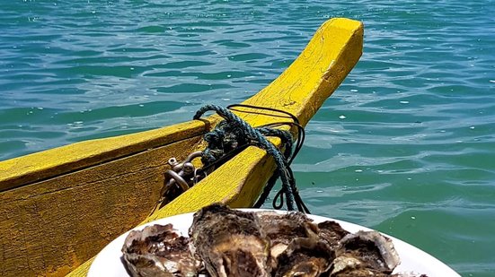 Imagem Ao sabor da Barra de São Miguel