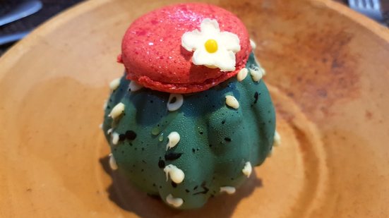 Imagem A doçura da caatinga