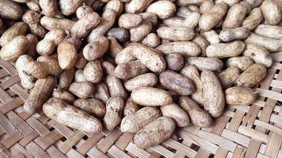 Imagem Amendoim da Galega