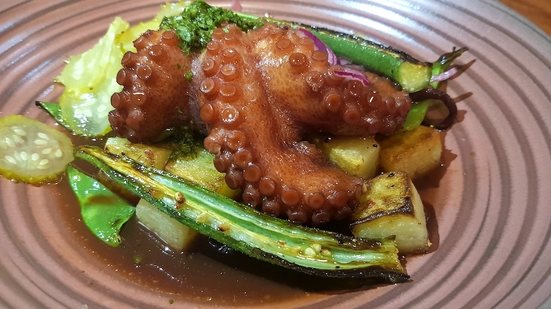 Imagem Polvo Nordestino danado de bom