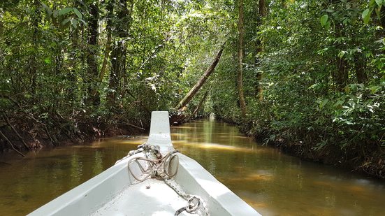 Imagem Rio gelado: melhor terapia, com melhor pirão