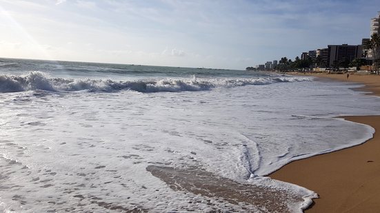 Imagem Flores para Iemanjá