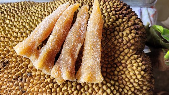 Imagem Tulipa de jaca, conhece?