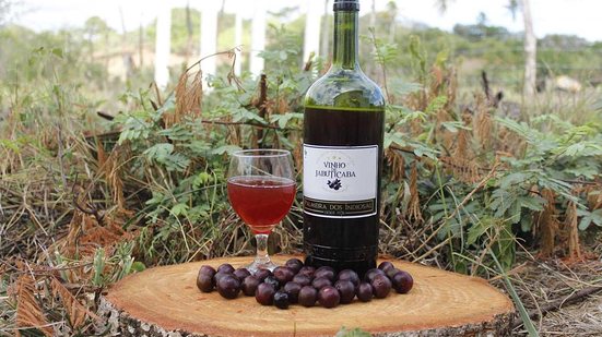 Imagem Do vinho de jabuticaba ao queijo de cabra na feira