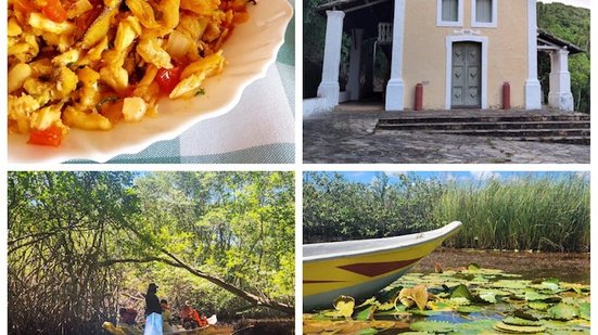 Imagem Vamos navegar em Coqueiro Seco?