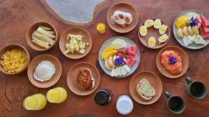 Imagem Zaya, prazer em conhecer