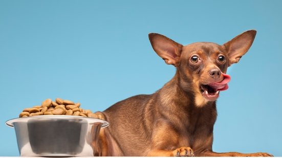 Imagem “Ração X Comida Natural: prós e contras”