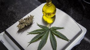 Foto: Vizoni/FolhaPress