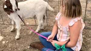 Menina americana e o seu bode de estimação, Cedar - Foto: Reprodução/Advancing Law for Animals