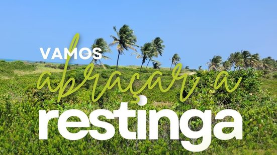 Ambientalistas e moradores da praia do Frances realizam abraço simbólico em defesa da Restinga - Divulgação