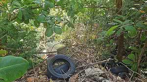 Foto: Reprodução/TV Pajuçara