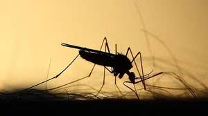 Foto: Ilustrativa/Pixabay