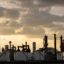 Imagem meramente ilustrativa - Freepik