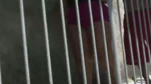 Ela aceitou negociar com os agentes, mas tentou fugir em seguida - Reprodução / TV Pajuçara