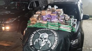 Polícia apreende 170kg de maconha que seria carregamento de organização criminosa em Rio Largo - Divulgação / SSP-AL