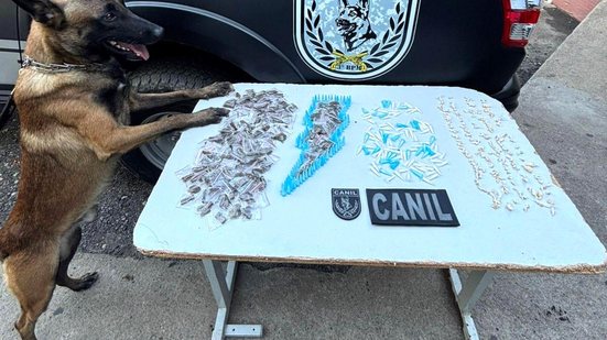 Imagem Com apoio de cão farejador, PM apreende maconha, crack e cocaína em Arapiraca