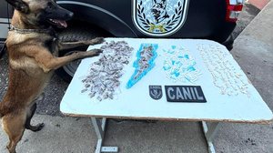 Imagem Com apoio de cão farejador, PM apreende maconha, crack e cocaína em Arapiraca