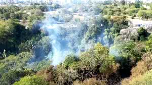 Reprodução/TV Pajuçara