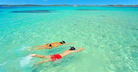 Site dicasmaceioemaragogi.com.br