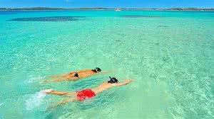 Site dicasmaceioemaragogi.com.br