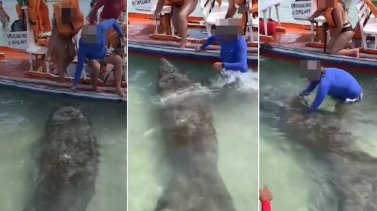 Homem salta de jangada para tocar em peixe-boi na Pajuçara - Reprodução / Biota