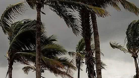 Estado de Atenção: Alagoas permanece sob alerta de ventania até este sábado, 6
