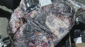 Fotos mostram que o produto chegou ao Rio Grande do Sul com aspecto de podre - Foto: Reprodução/TV Globo