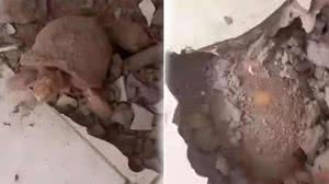 Foto: Reprodução/Redes Sociais