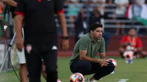 Cesar Greco / Palmeiras