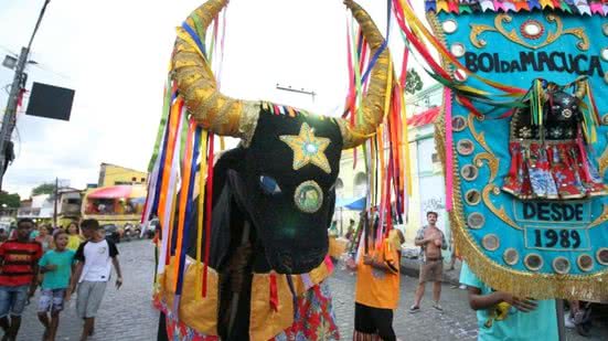 Foto: blocosderua.com