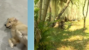 Foto: Reprodução/Record